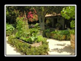 vegatable and herb raised beds