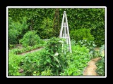 raised beds