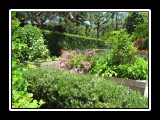 garden design