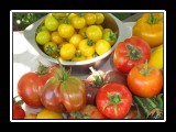 garden bounty